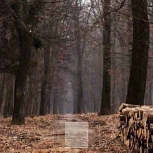 Meet your Posher, S an m